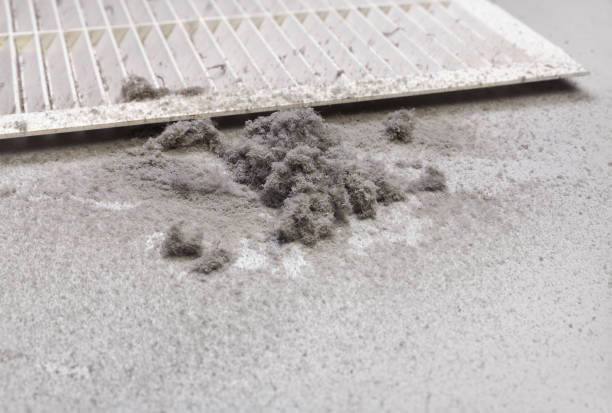 Best Ductwork Cleaning Services  in Grabill, IN