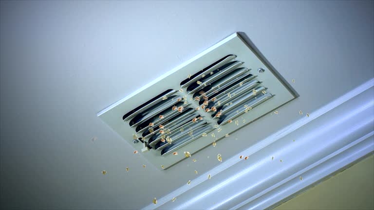 Best HVAC Maintenance and Cleaning  in Grabill, IN