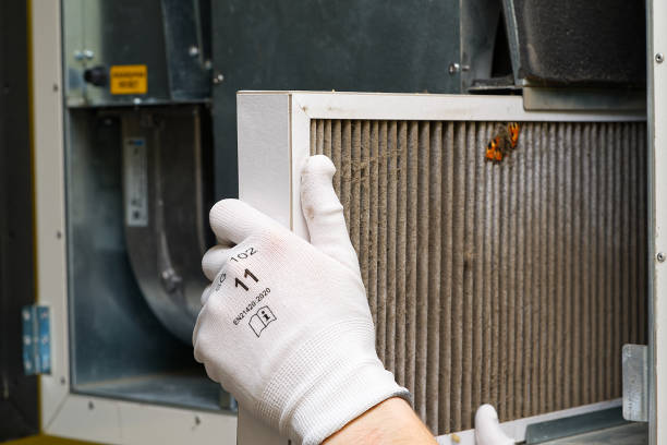Best Air Duct Cleaning Near Me  in Grabill, IN