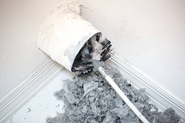 Best Home Air Vent Cleaning  in Grabill, IN